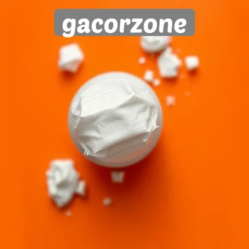 Panduan Lengkap Menggunakan Situs Gacorzone untuk Pemula